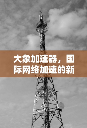 大象加速器，国际网络加速的新突破